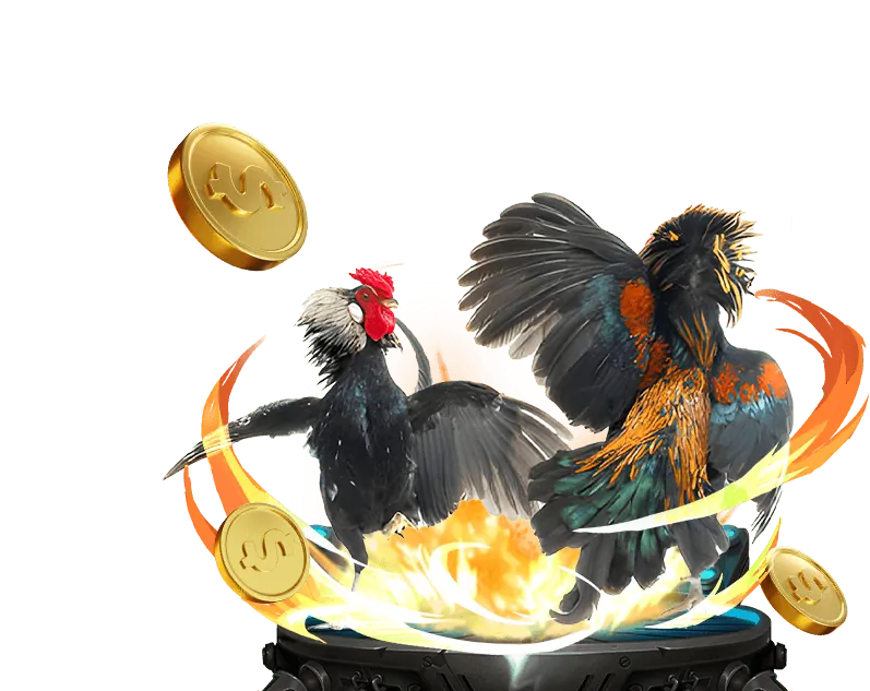 Tin tức về các sự kiện thể thao tại boga789