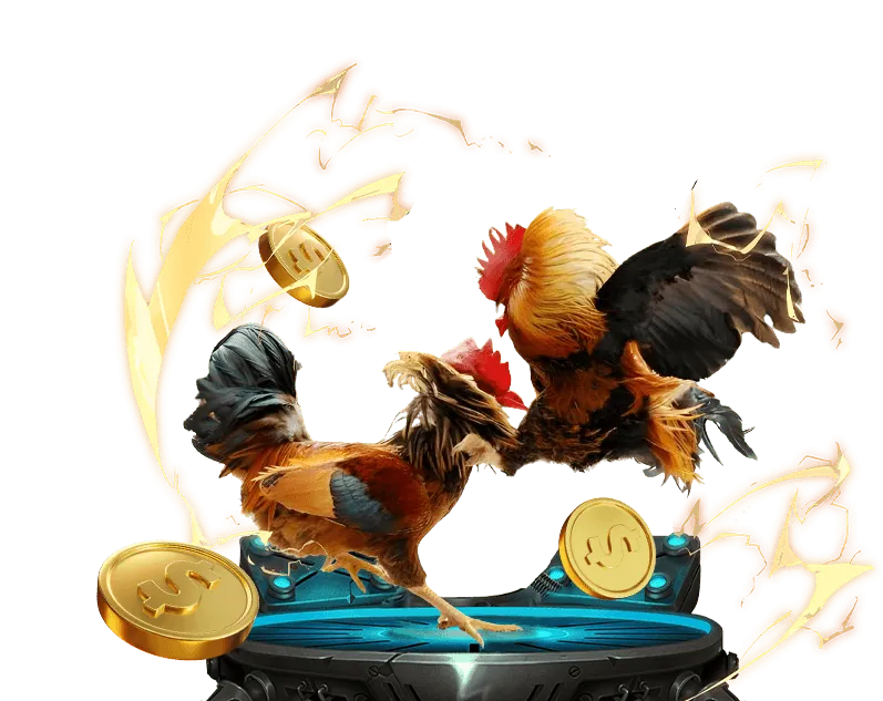 Tin tức khuyến mãi boga789